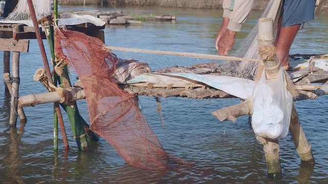 Close up on a fisherman throwing fish inside a cage net