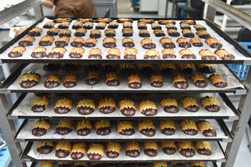 biscuit chocolat alimentation sucre