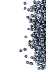 Tasty bilberries isolated on white background with copyspace. Top view