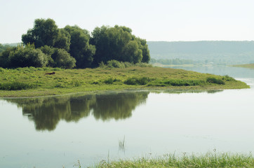 summer landscape with river and trees