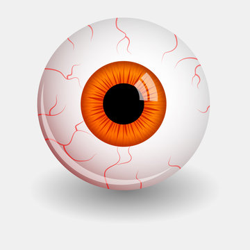 Eyeball Images – Browse 10,612,077 Stock Photos, Vectors, and