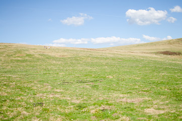 une colline et une prairie