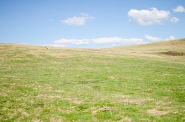 Obraz premium une colline et une prairie