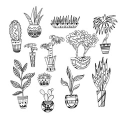 Set of contour illustrations of home flowers with patterns. Line art plants. Vector object for postcards, coloring books and your creativity.