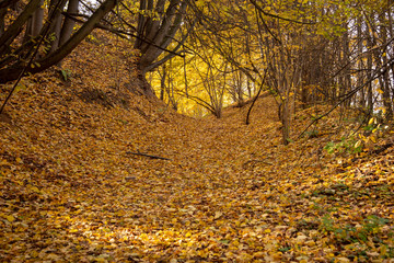 The path to the mountain. The sun's rays illuminate the top.Beautiful difference of light.