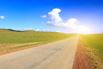 Asphalt roads and cattle on the grasslands