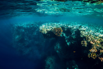 Underwater view with rocks and corals in transparent blue ocean. Underwater landscape