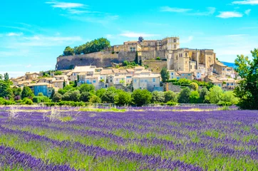 Gardinen Lavendelfelder im Dorf Gordes, einer kleinen mittelalterlichen Stadt in der Provence, Reiseziel in Frankreich. © Simon Dannhauer