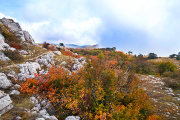 Bright autumn nature in the mountains. Crimea