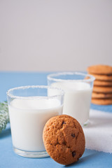 Glasses of milk, cookies, christmas tree branch on the blue background
