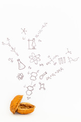 Concept of the phrase chemistry in a nutshell. Chemical formulas and symbols drawn on white paper...