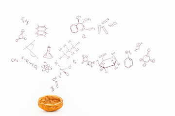 Concept of the phrase chemistry in a nutshell. Chemical formulas and symbols drawn on white paper with walnuts