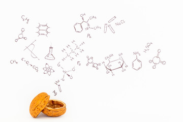 Concept of the phrase chemistry in a nutshell. Chemical formulas and symbols drawn on white paper...