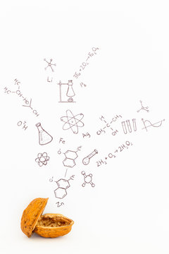 Concept of the phrase chemistry in a nutshell. Chemical formulas and symbols drawn on white paper with walnuts