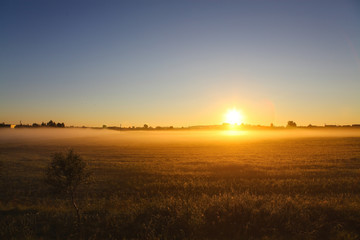 Fototapeta premium Beautiful golden autumn morning foggy sunny field