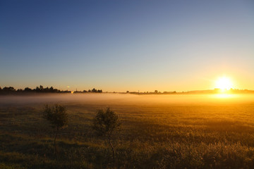 Naklejka na ściany i meble Beautiful golden autumn morning foggy sunny field
