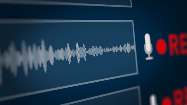 Audio Spectrum with REC (Record) Symbol on Monitor Screen.