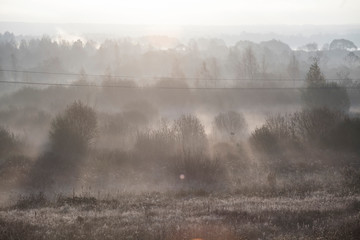 Beautiful golden autumn morning foggy sunny field