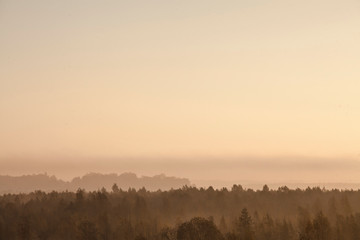 Fototapeta na wymiar Beautiful golden autumn morning foggy sunny field