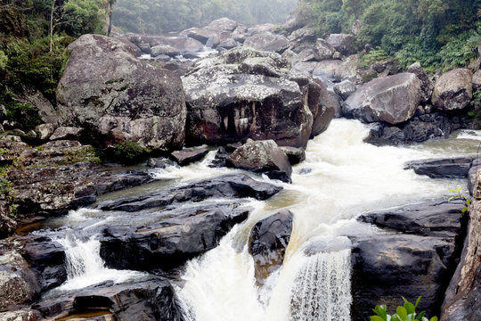 River In Ranomafana National Park, Madagascar