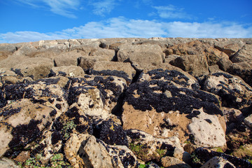Fototapeta na wymiar scenery with big coastal rocks