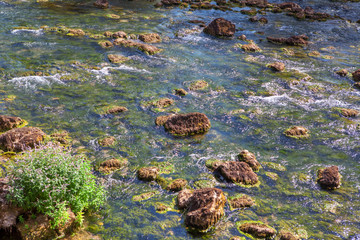 stones in flowing water of mountain river