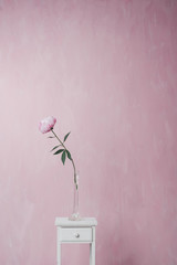 Pink peony stands on a white vintage pedestal on a pink background.