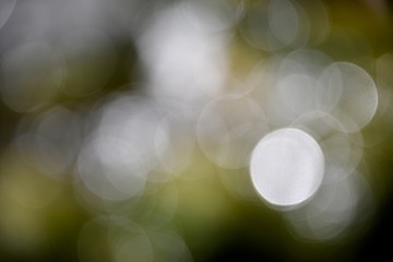 background with bokeh