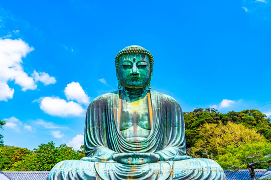 日本寺大仏 の画像 4 329 件の Stock 写真 ベクターおよびビデオ Adobe Stock