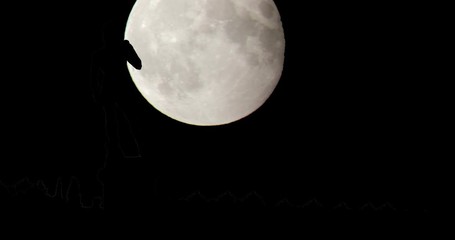 Moonrise Sunrise Sunset Silhouette Time Lapse