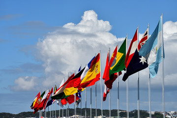 セーリング世界大会の参加国国旗