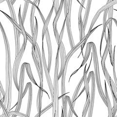 Seamless pattern with wild meadow grass. Monochrome vector illustration on a white background.