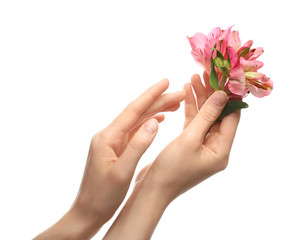 Fototapeta premium Woman with beautiful hands on white background, closeup