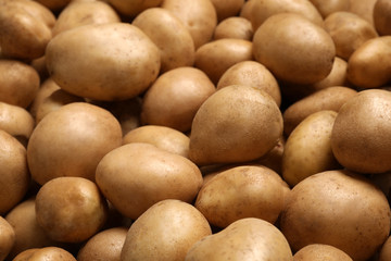 Raw fresh organic potatoes as background, closeup