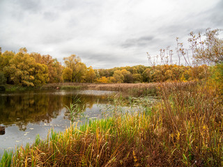 Fototapeta premium Autumn, trees, Park, pond, landscape.