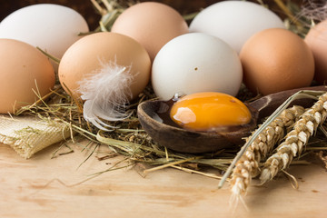 Raw brown eggs in bowl. Eggs in shells - macro shot with shallow depth of field.