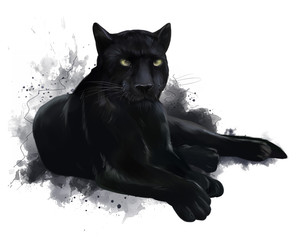 A large black Panther. Watercolor painting - 294560226