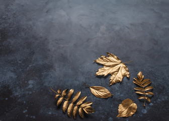 Autumn gold leaves on dark blue background. 