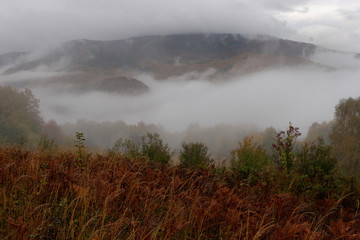 The mountain forest in fog after autumn rain