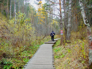 Obraz premium Man in the woods is on a wooden flooring from boards. Concept of hiking.