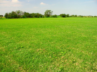 秋のサッカー場のある江戸川河川敷風景