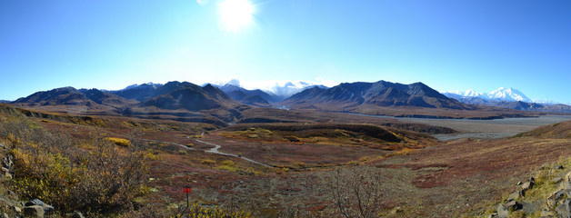 Denali Wildness, Alaska