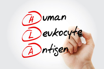 HLA - Human Leukocyte Antigen acronym with marker, concept background