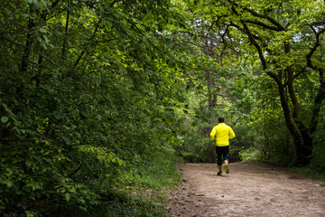 jogging dans la forêt. coureur dans les bois. Jogger dans la forêt. footing dans la forêt - obrazy, fototapety, plakaty