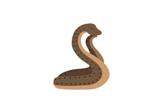Cute snake on a white background.