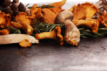 variety of raw mushrooms on wooden dark table. oyster and other fresh mushrooms.