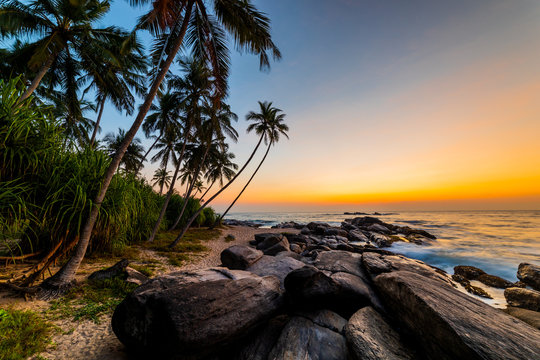 Beautiful sunset on the beach with palms on a Philippines