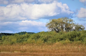 Fototapeta premium Murnauer Moos