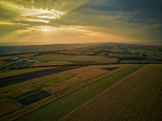 Aerial drone view of grain fields, wheat during golden sunset. Agricultural pattern. Moldova republic of.