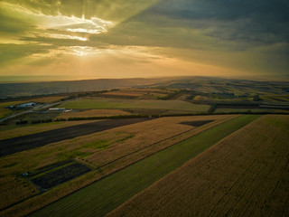 Aerial drone view of grain fields, wheat during golden sunset. Agricultural pattern. Moldova republic of.